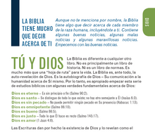 Load image into Gallery viewer, El Cristianismo Sencillo